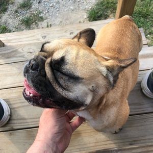 Meet your Posher, Travis